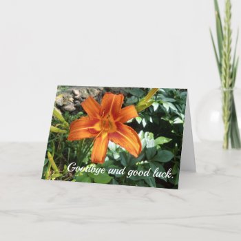 Doctor Goodbye Good Luck Flower Photo Card by Susang6 at Zazzle