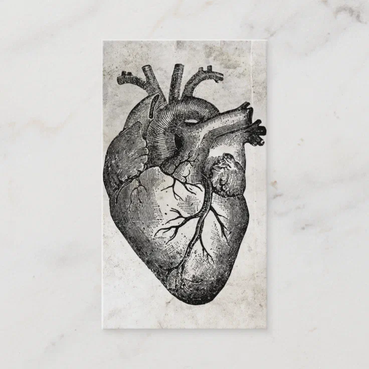 Doctor Heart Anatomy Business Cards | Zazzle