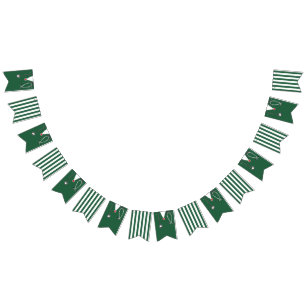 Doctor Party Bunting Flags