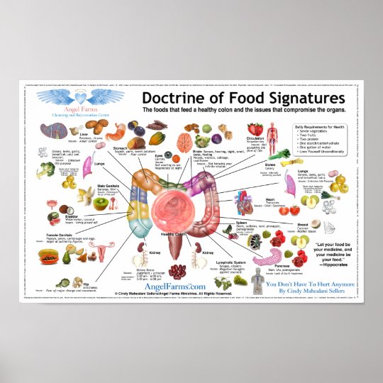 The Doctrine Of Signatures Chart