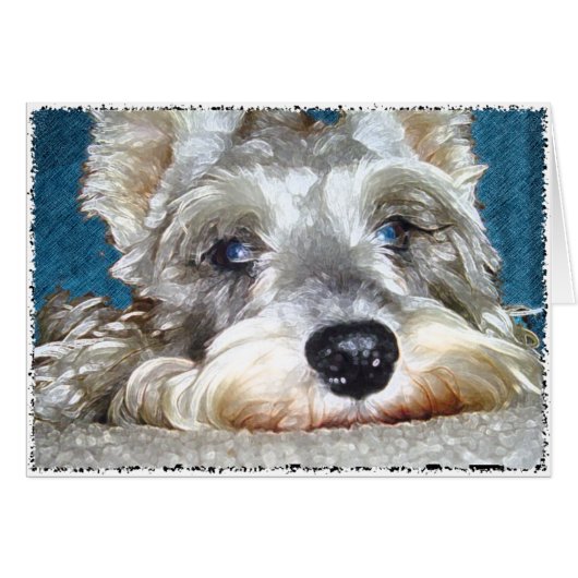 DOD: Mini German Schnauzer So Cute Cards (Front Horizontal)