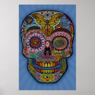 Dod Sk511 -color Poster