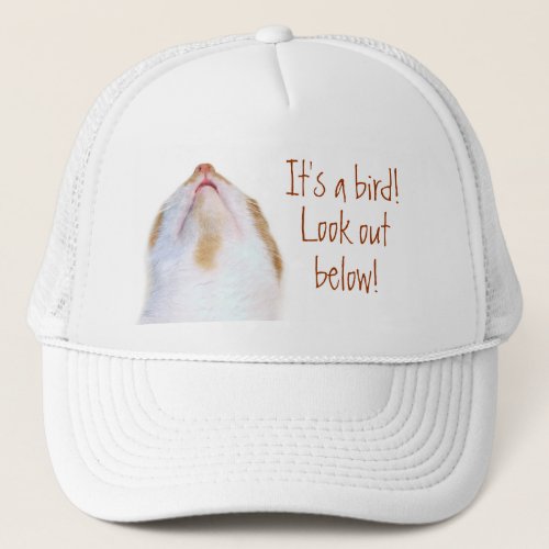 Dodge bird poop trucker hat