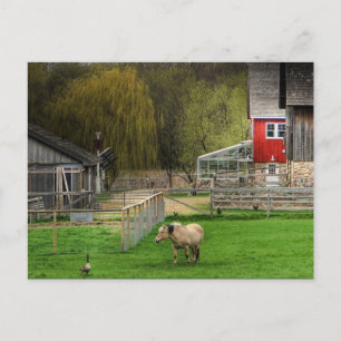 Dodge Nature Center Postcard