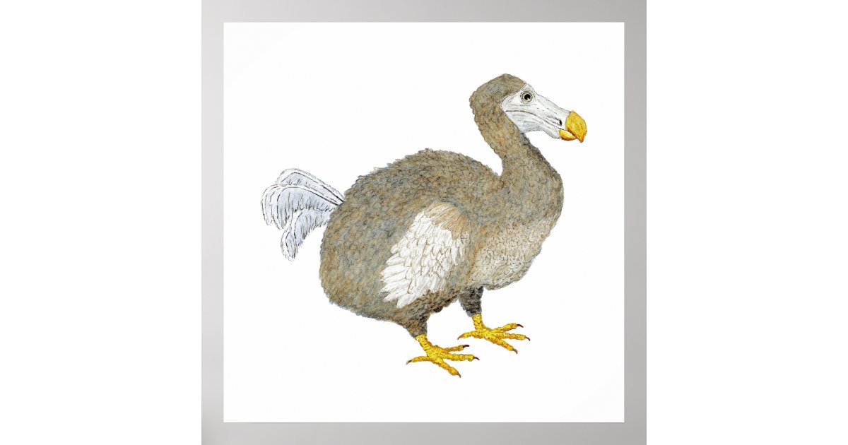 Funny dodo bird cartoon illustration ceramic tile | Zazzle