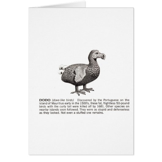 dodo cards (Front)
