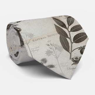dodo history nature biology neck tie