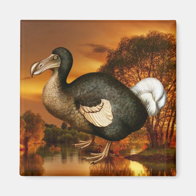Dodo Magnet (Front)