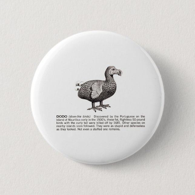 dodo pinback button (Front)