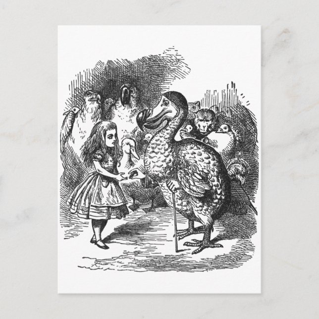 Dodo Postcard (Front)