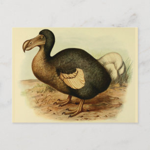 Dodo Postcards