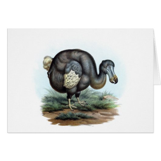 Dodo (Raphus cucullatus) Cards (Front Horizontal)