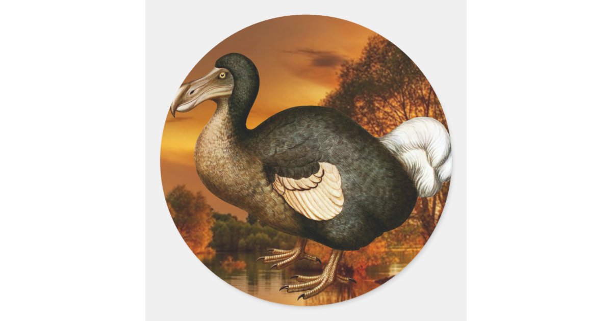 Color Dodo Sticker Dodo Sticker | Zazzle