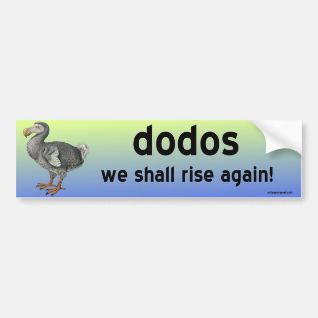 dodos bumper sticker (Front)