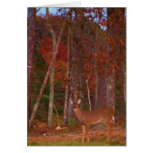 Doe a Deer in Lake Arrowhead (Front)