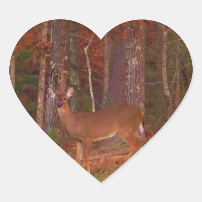 Doe a Deer in Lake Arrowhead Heart Sticker (Front)