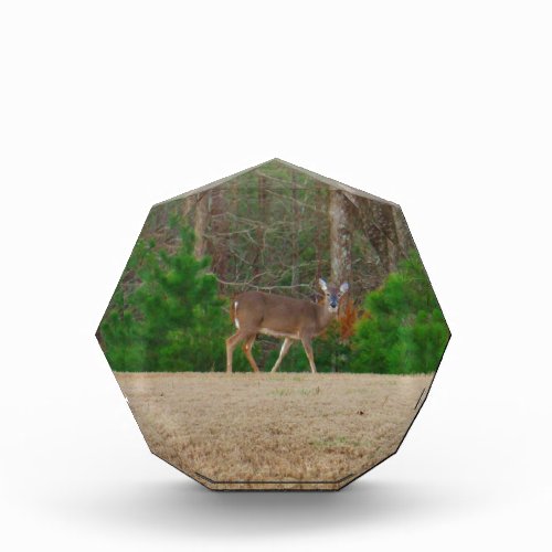 Doe a Deer  Pine Trees Award