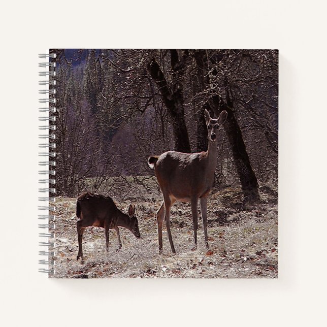 Doe and fawn.... notebook (Front)