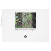 Doe and Her Fawn Cards (Back Horizontal)