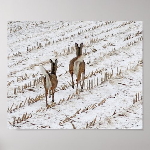 Doe and Yearling in a Snowy Cornfield II Poster