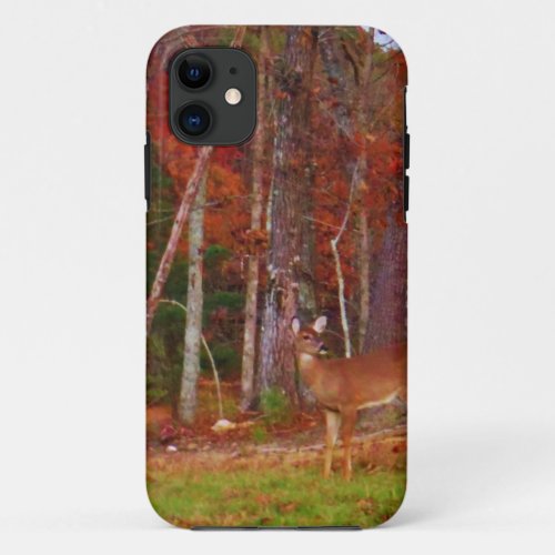 Doe at the woods iPhone 11 case