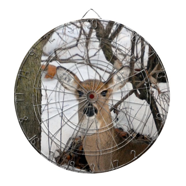 Doe Dart Board (Front)