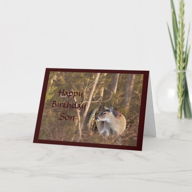 Doe Deer 5064- customize any occasion Card (Front)