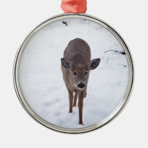 Doe deer in the snow Montana Wildlife photography Metal Ornament