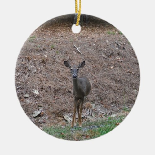 Doe Deer on the Pine straw Ceramic Ornament