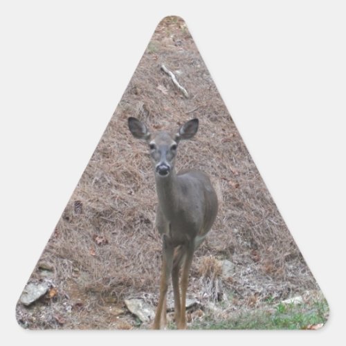 Doe Deer on the Pine straw Triangle Sticker