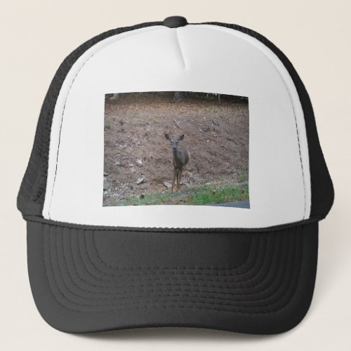 Doe Deer on the Pine straw Trucker Hat