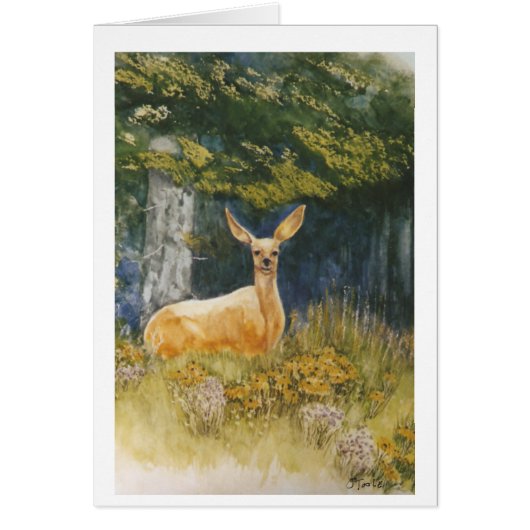 Doe Eyes Cards (Front)