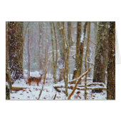 Doe in the snow, Deer in Lake Arrowhead (Front Horizontal)