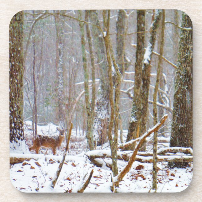 Doe in the snow, Deer in Lake Arrowhead Drink Coaster (Front)