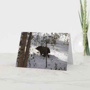 Does Bear...card Card by glo53bug at Zazzle