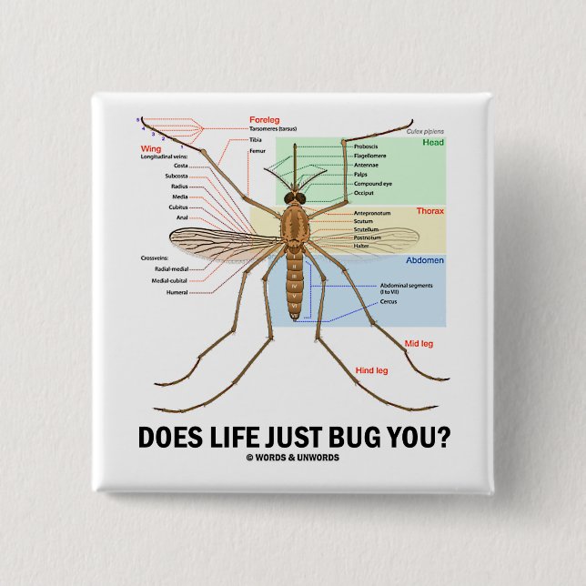 Does Life Just Bug You? (Mosquito Anatomy) Button (Front)