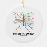 Does Life Just Bug You? (Mosquito Anatomy) Ceramic Ornament