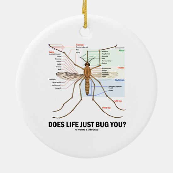Does Life Just Bug You? (Mosquito Anatomy) Ceramic Ornament