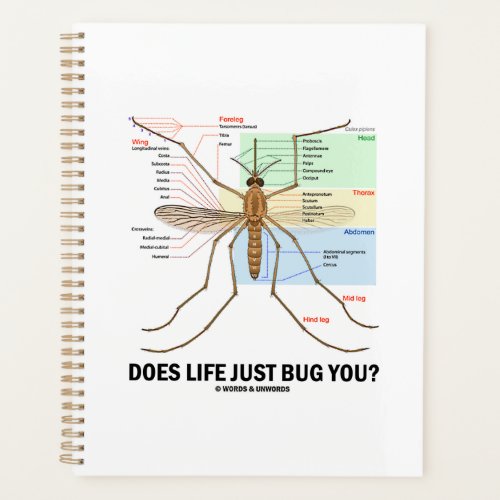 Does Life Just Bug You Mosquito Anatomy Humor Planner