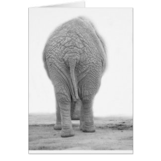 Does my bum look big cards