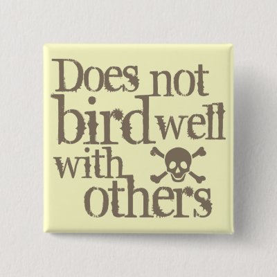 Does Not Bird Well With Others Pinback Button