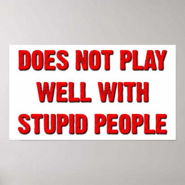 Does Not Play Well With Stupid People Funny Poster (Front)