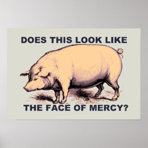 Does This Look Like The Face of Mercy? Grumpy Pig Poster