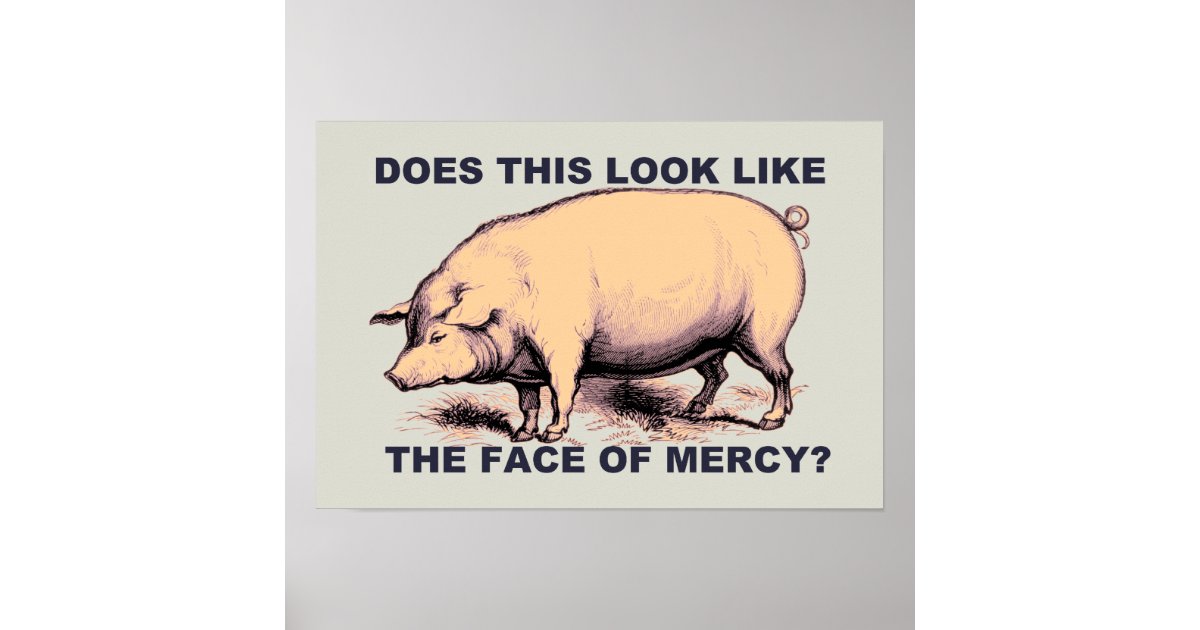 Does This Look Like The Face Of Mercy Grumpy Pig Poster Zazzle Com