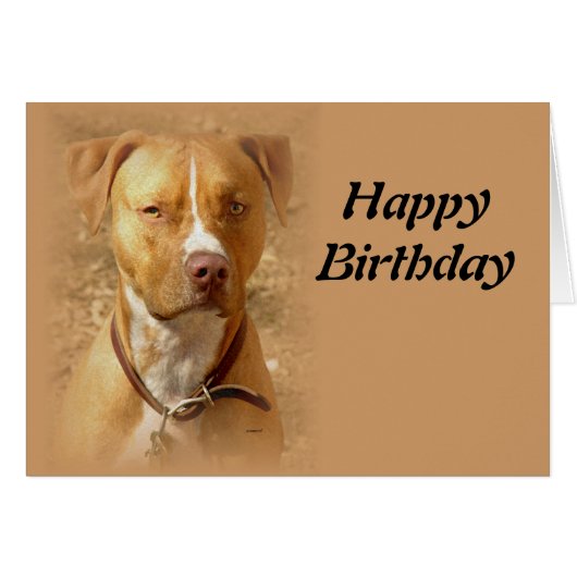 dog (Front Horizontal)