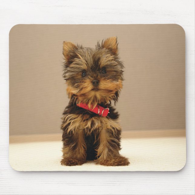 dog1 mouse pad (Front)