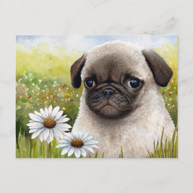 Dog 114 postcard (Front)