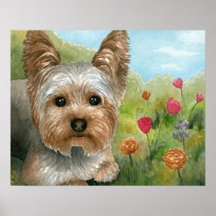 Dog 117 Yorkshire Poster