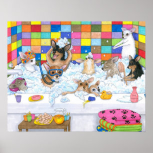 Dog 121 chihuahua poster