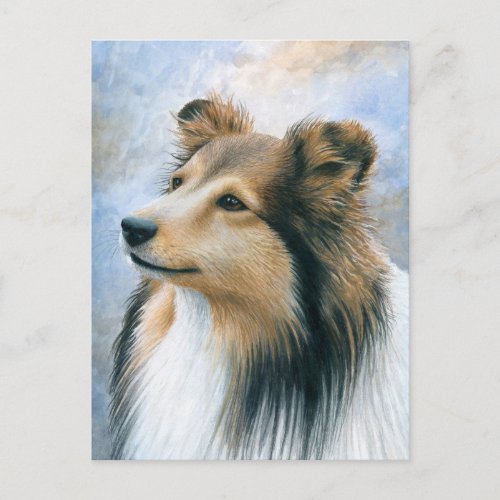 Dog 122 Sheltie Collie Postcard